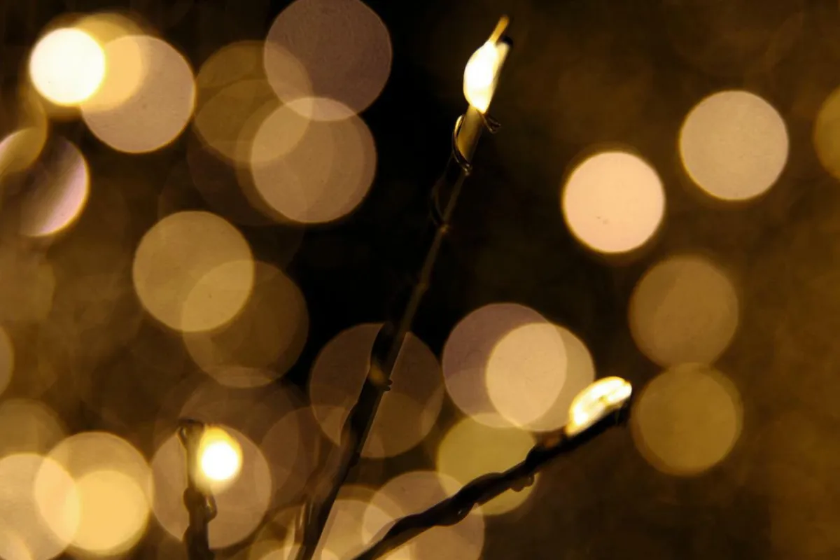 Decoración De Invierno|Árboles Artificiales>DecoWoerner Árbol De Luces LED, 150 Cm blanco