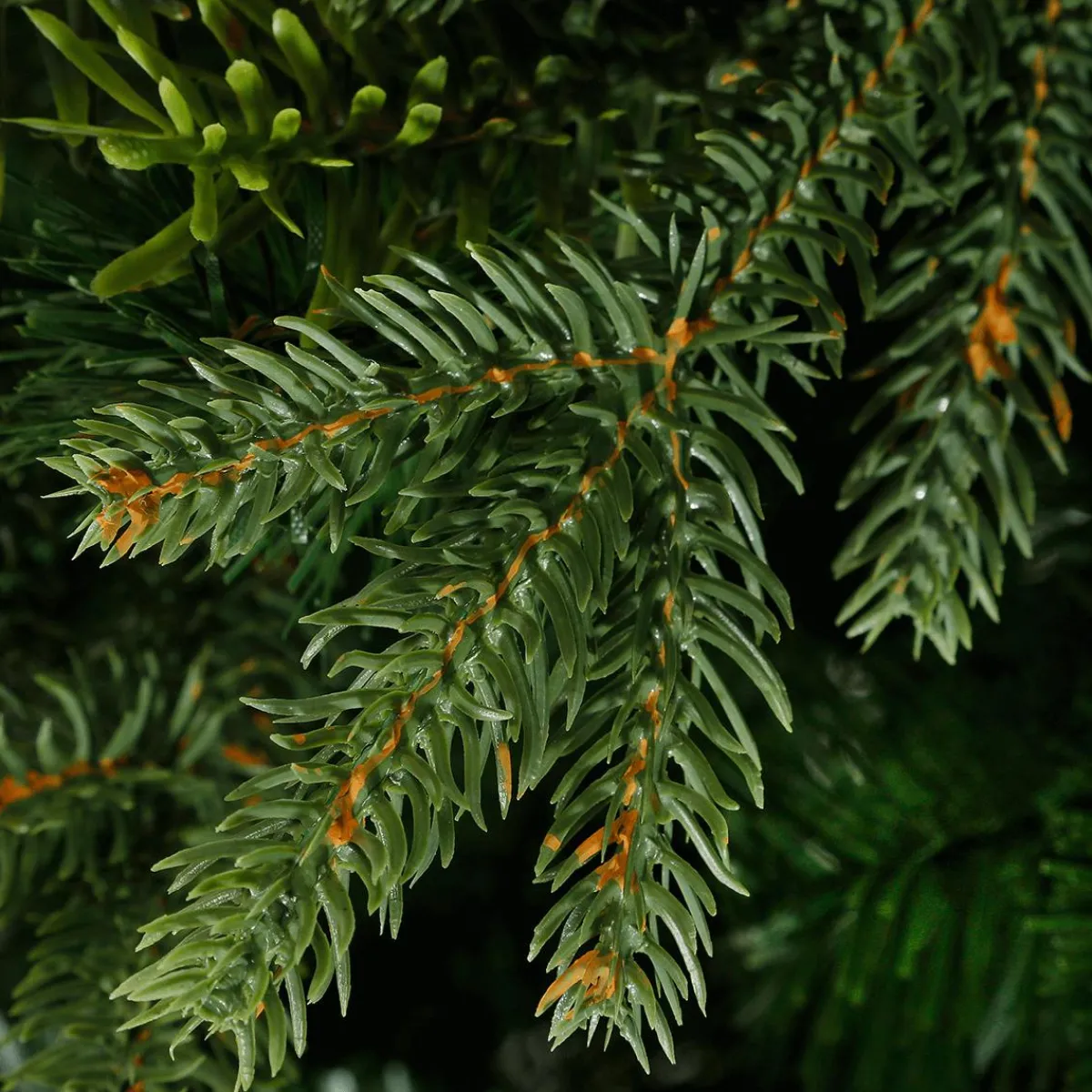 Árboles De Navidad Artificiales>DecoWoerner Árbol De Navidad Artificial Colorado 1,8 M verde