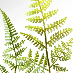 Decoración De Primavera|Plantas Verdes><noscript><img width=