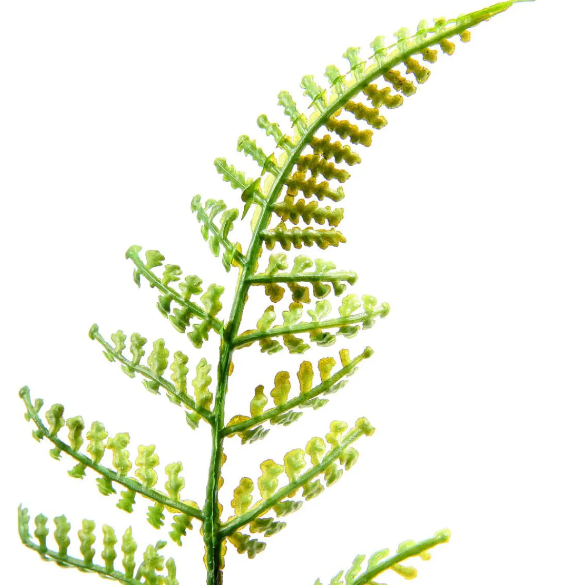 Decoración De Primavera|Plantas Verdes>DecoWoerner Recogida De Helecho Artificial Ø 30 Cm verde