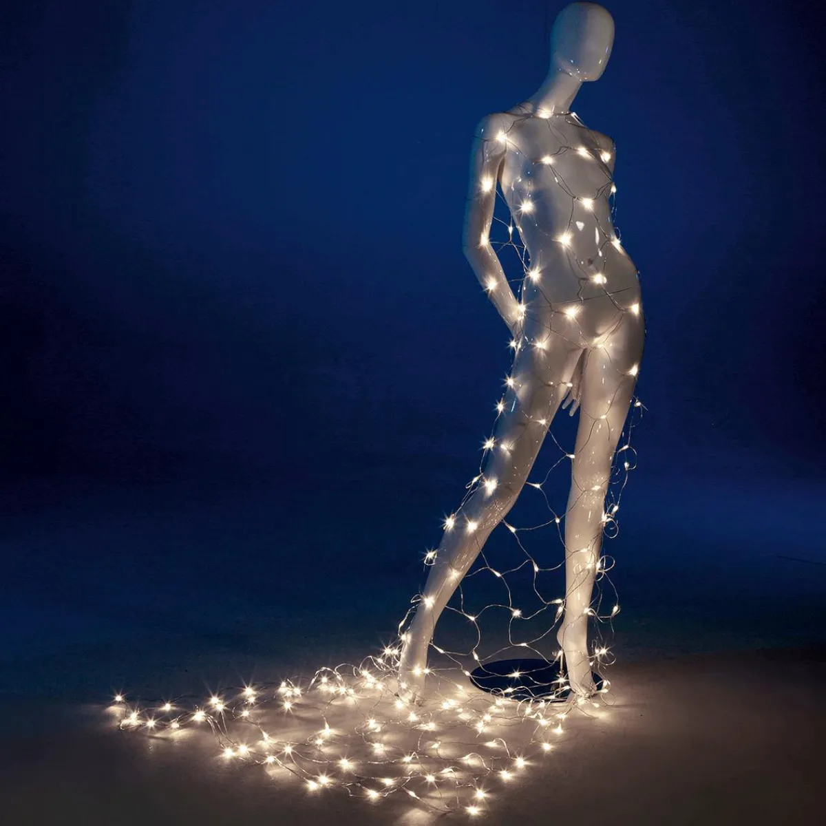 Luces De Navidad>DecoWoerner Red De Luz LED Profesional IP20, 250 Cm Sin Cable De Alimentación, Transparente