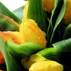 Decoración De Primavera|Ramos Y Coronas De Flores><noscript><img width=
