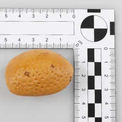 Frutas>DecoWoerner Surtido Mixto De Frutos Secos - Bolsa De 200 G De Chucherías marrón