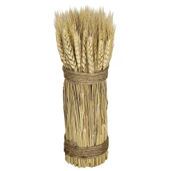 Decoración De Otoño|Hierba Decorativa>DecoWoerner Tallos De Trigo Seco 2-atado 8 X 28 Cm amarillo