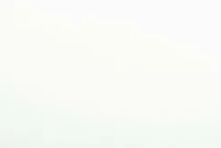 Telas>DecoWoerner Tejido Decorativo Crema, Anchura: 150 Cm blanco