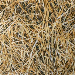 Telas|Decoración De Otoño>DecoWoerner Tejido Decorativo "Paja", Anchura: 150 Cm marrón
