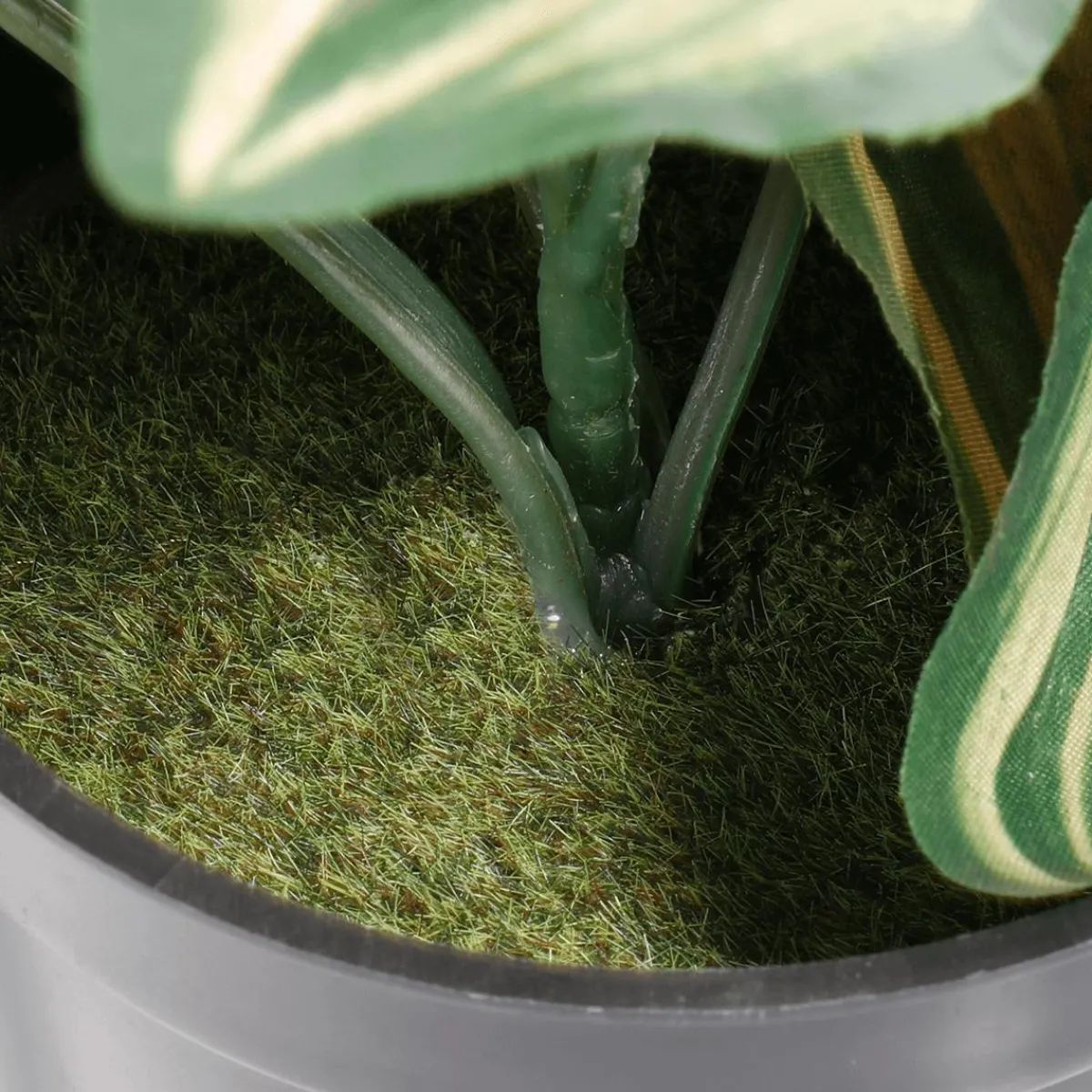 Decoración De Primavera|Plantas Verdes>DecoWoerner Tradecantia Colgante En Maceta De 30 Cm De Altura verde
