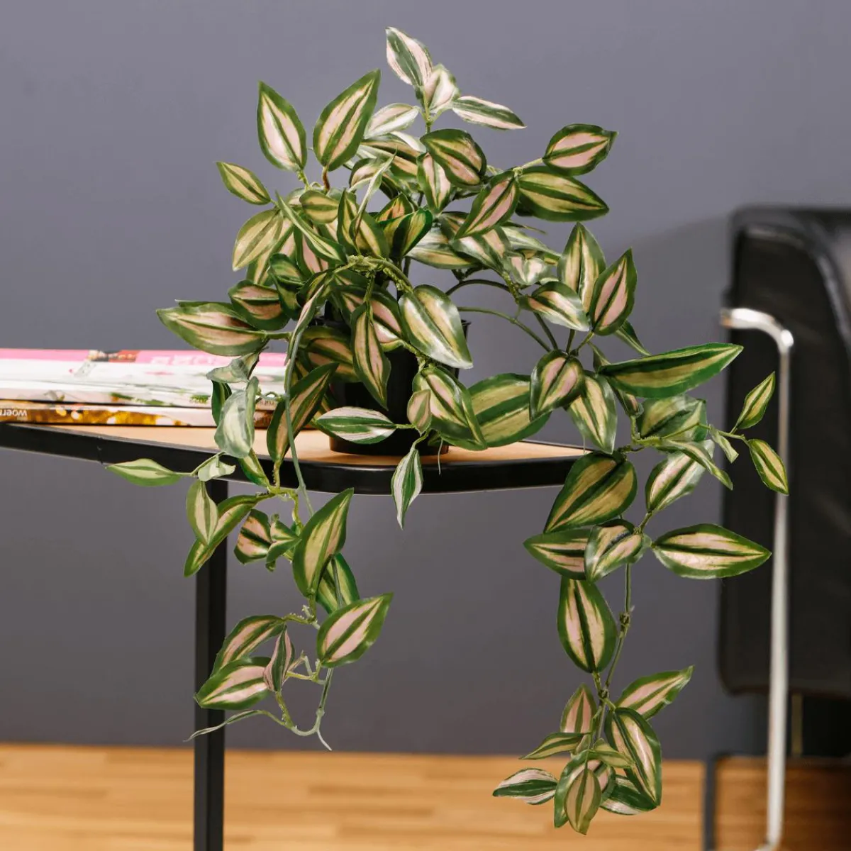 Decoración De Primavera|Plantas Verdes>DecoWoerner Tradecantia Colgante En Maceta De 30 Cm De Altura verde