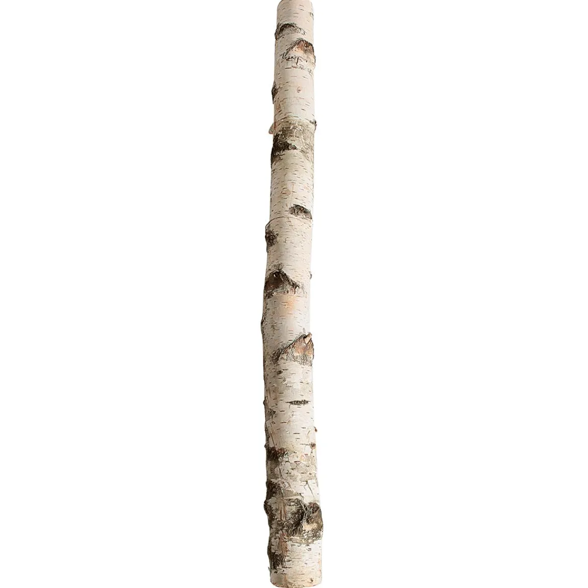 Decoración Natural>DecoWoerner Tronco De Abedul 100 Cm Aprox. 6-10 Cm Ø Beige