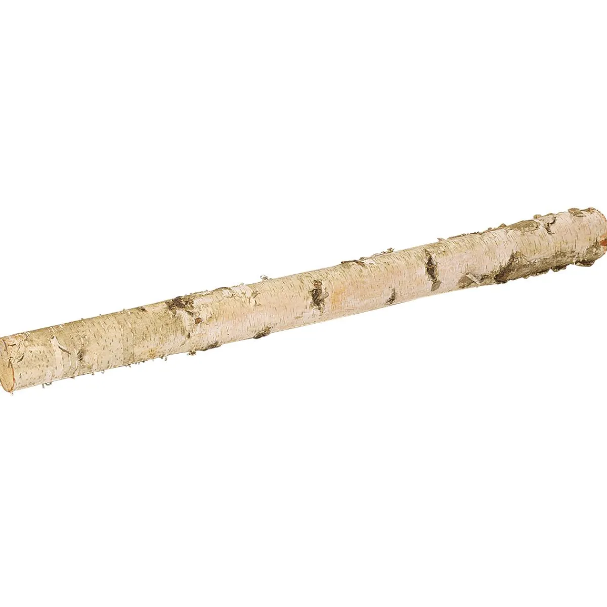 Decoración Natural>DecoWoerner Tronco De Abedul 100 Cm Aprox. 6-10 Cm Ø Beige