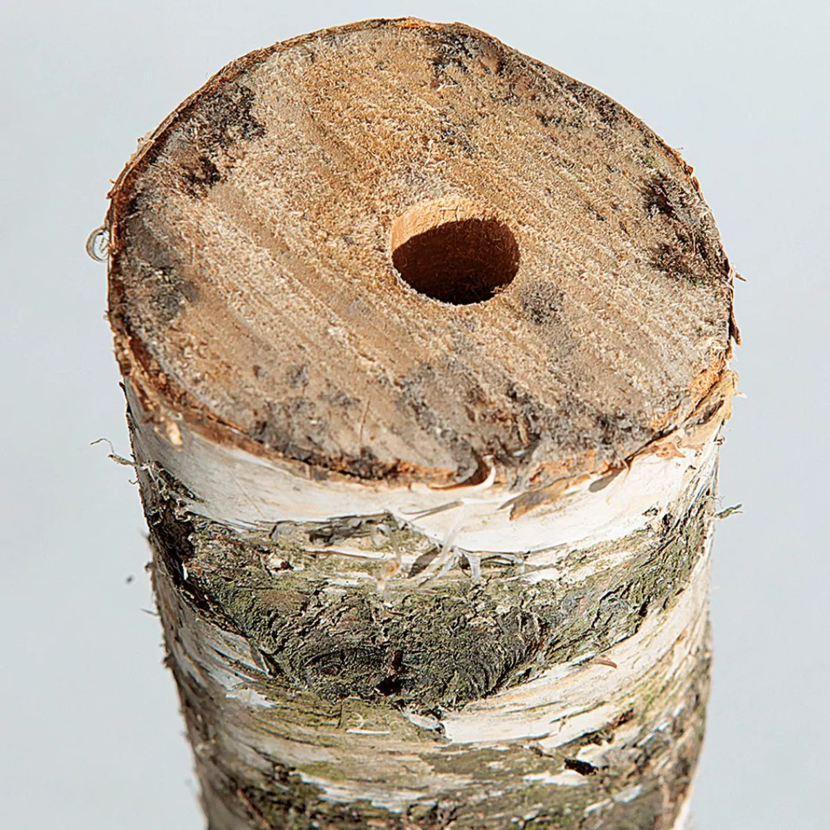 Decoración Natural>DecoWoerner Tronco De Abedul 100 Cm Aprox. 6-10 Cm Ø Beige