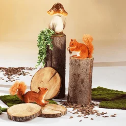Decoración De Otoño><noscript><img width=