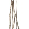 Decoración Natural|Decoración Temática>DecoWoerner Troncos De Abedul Decorativos, 220 Cm