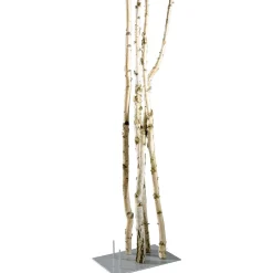 Decoración Natural|Decoración Temática>DecoWoerner Troncos De Abedul Decorativos, 220 Cm
