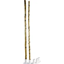 Decoración Natural|Decoración Temática><noscript><img width=