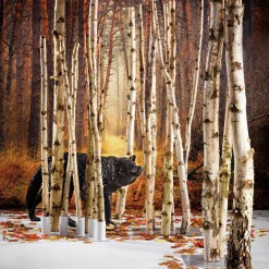 Decoración Natural|Decoración Temática><noscript><img width=