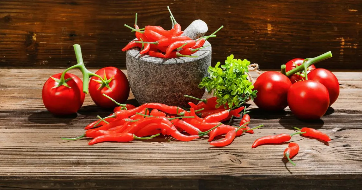 Verduras Y Hierbas>DecoWoerner Vainas De Chili Alimento De Imitación, 36 Piezas rojo