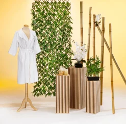 Paredes De Plantas><noscript><img width=