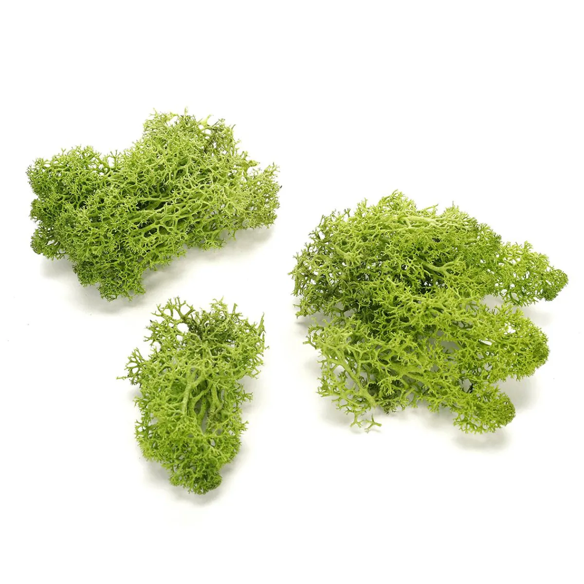 Decoración Natural|Césped Artificial>DecoWoerner Verdadero Musgo Natural 500 G verde