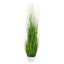 Plantas De Interior|Hierba Decorativa>DecoWoerner XXL Deco Tiger Grass En Maceta Blanca 150 Cm verde