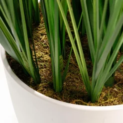 Plantas De Interior|Hierba Decorativa>DecoWoerner XXL Deco Tiger Grass En Maceta Blanca 150 Cm verde
